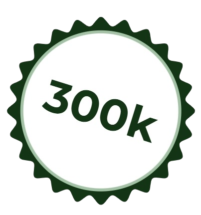 300.000đ